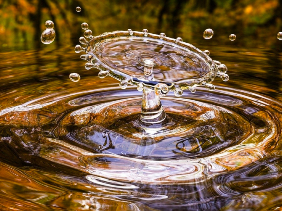 Water drop splash with ripples