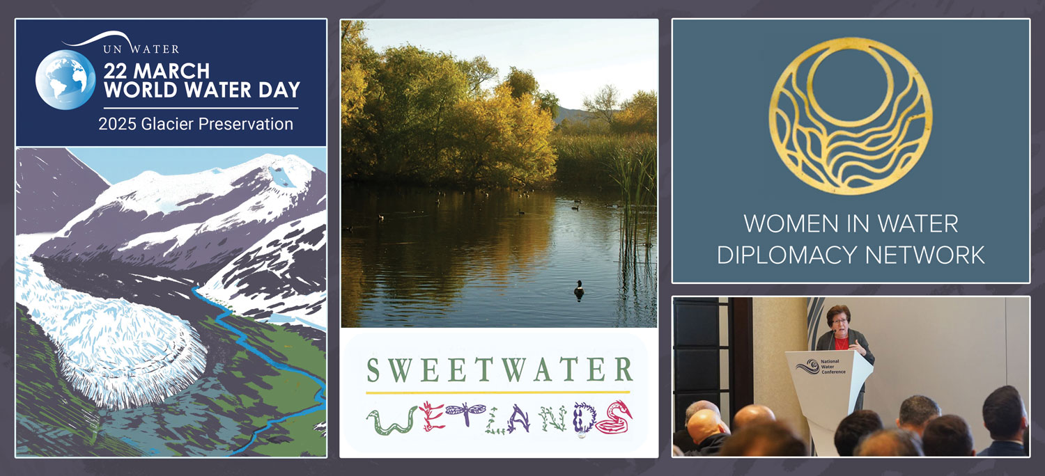 Weekly Wave: Reflections: On World Water Day 2025 and Local to Global ...
