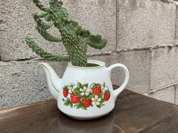 Viviane Baji - Drink After A 100 Day Thirst 2020 Phoenix AZ