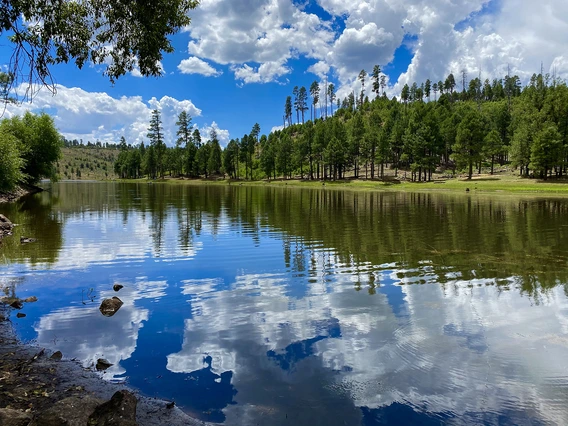 Lisa Blyle - Mirror Mirror on the Lake 2020 Black Canyon Lake
