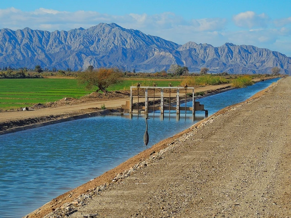 Eliana Rodriguez - Mexicali Valley water 2013 Mexicali Baja California