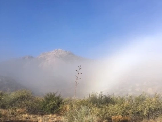 Shirley Roemer - Fogbow 2020 Tumacacori