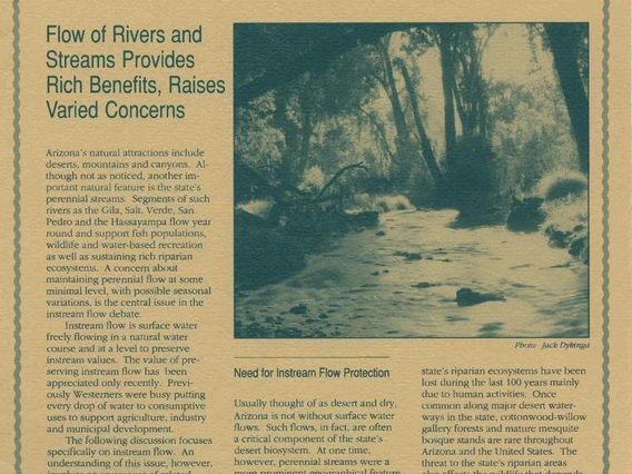 Arroyo Winter 1988
