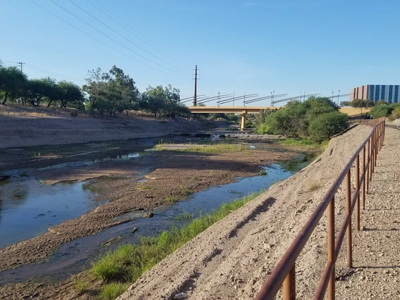Dick Thompson - Heritage flow - Tucson 2019