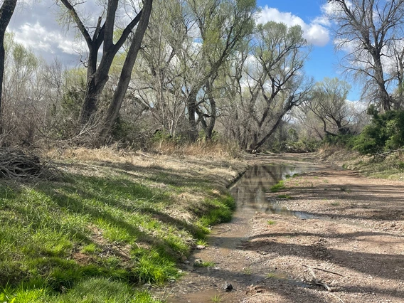 patagonia az 