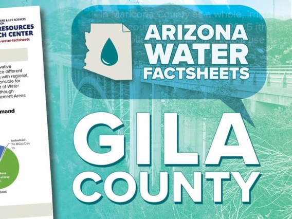 gila county graphic