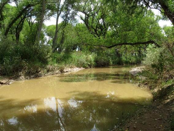 san pedro river