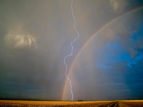 Jim Muntz - After the Storm, 2023