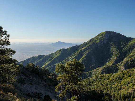 a photo showing Mt. Mitchell looking very green