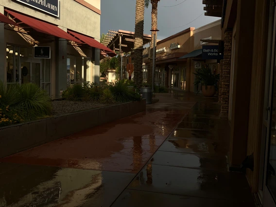 photo of businesses with palm trees during rain storm