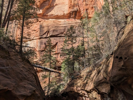 photo showing oak creek and red rock walls on a sunny day