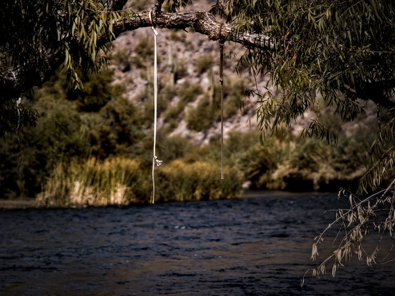 photo of a rope used by people to jump into the salt river