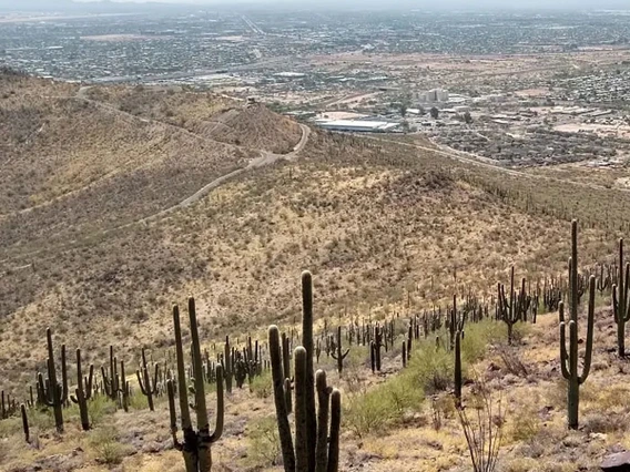 Tumamoc Hill in Tucson, AZ