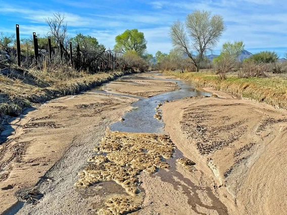 Santa Cruz river, Amado, AZ, 2023