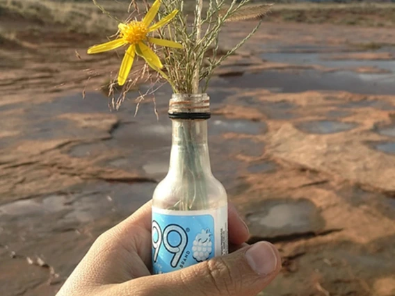 photo showing hand with bottle and flowers