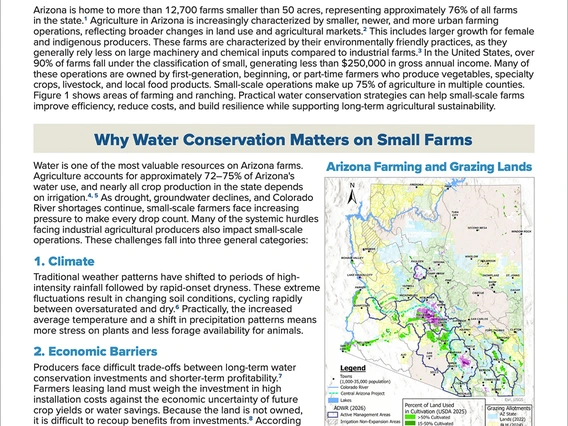 Conservation Strategies for Small-Scale Farmers cover