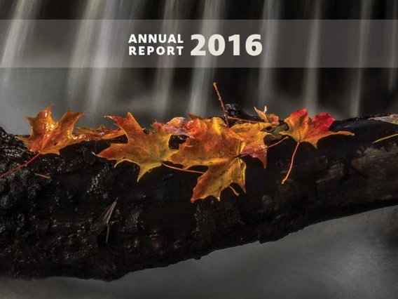 2016 Annual Report 