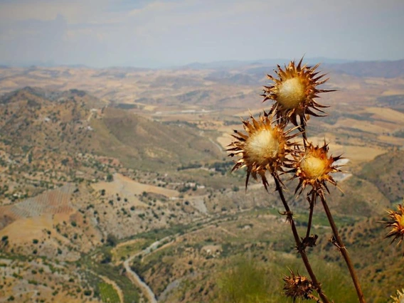 Valley view from Mountain