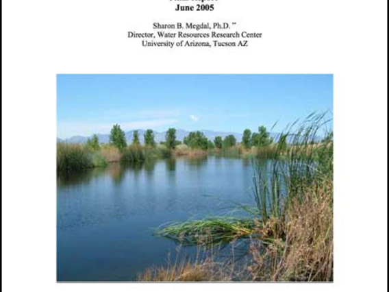 Environmental Restoration in Urban Arizona