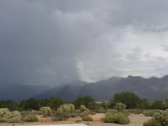 a photo of monsoon rain
