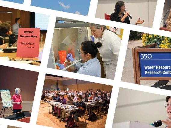 collage of images from the WRRC