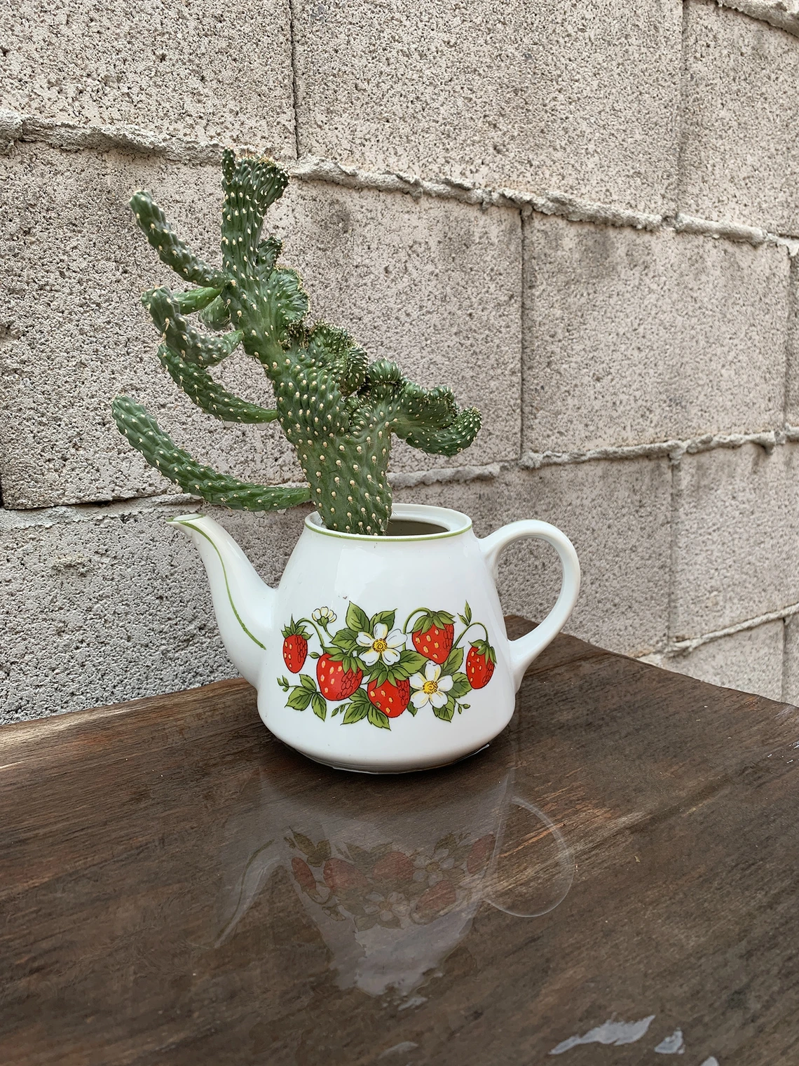 Viviane Baji - Drink After A 100 Day Thirst 2020 Phoenix AZ