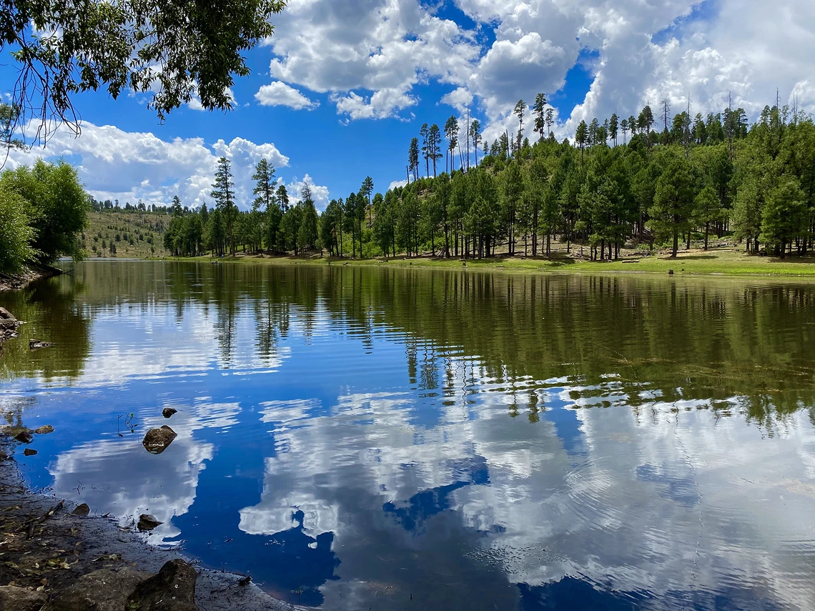 Lisa Blyle - Mirror Mirror on the Lake 2020 Black Canyon Lake