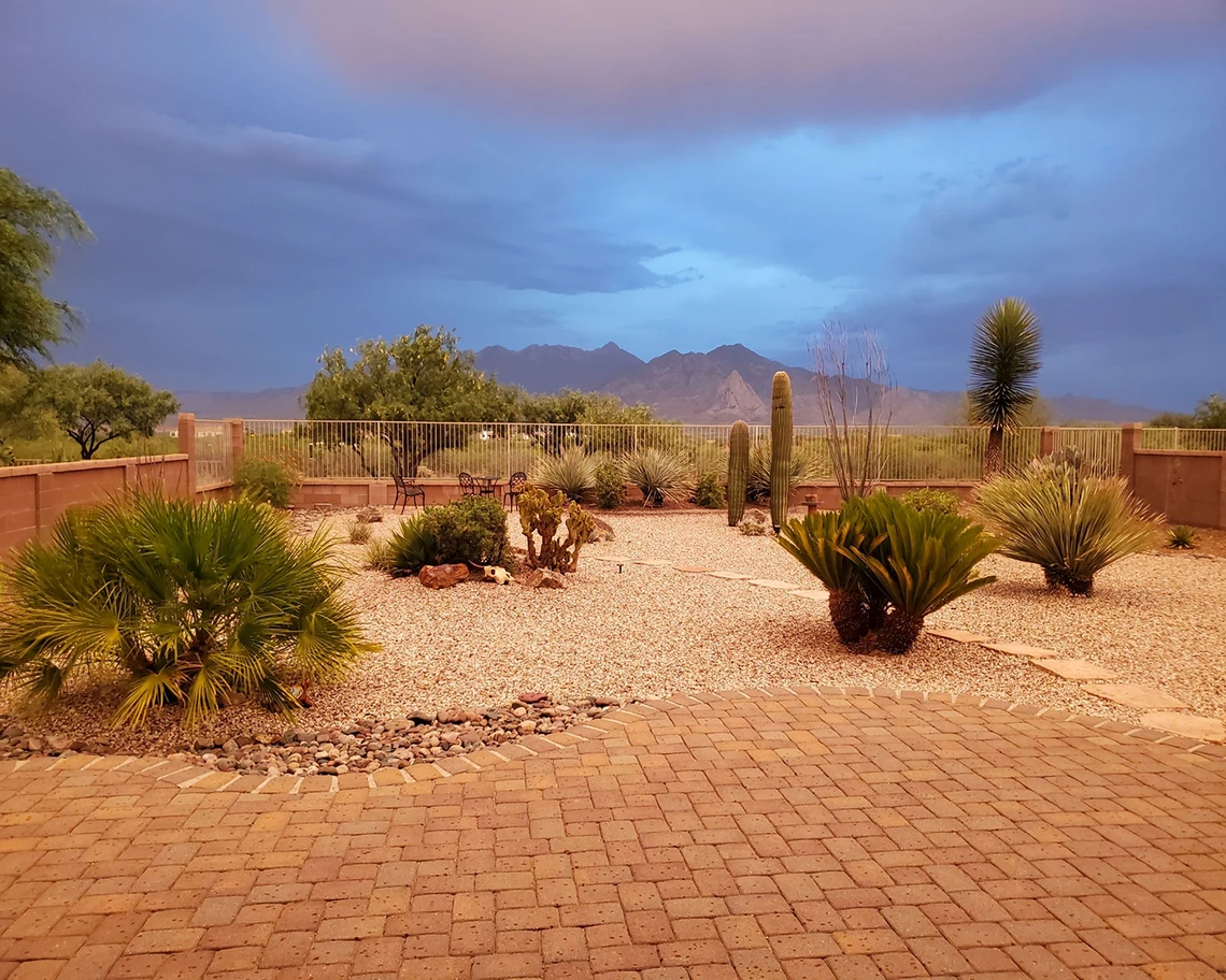Sherrie Lee Lucia - Color Of Rain 2020 Green Valley AZ