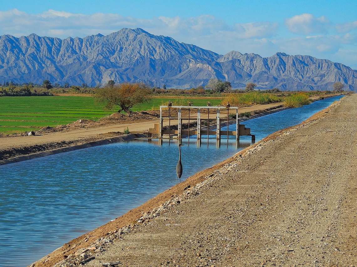 Eliana Rodriguez - Mexicali Valley water 2013 Mexicali Baja California