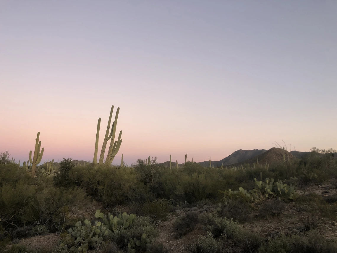 Cora Thomas - Sonoran Hues 2020 Tucson