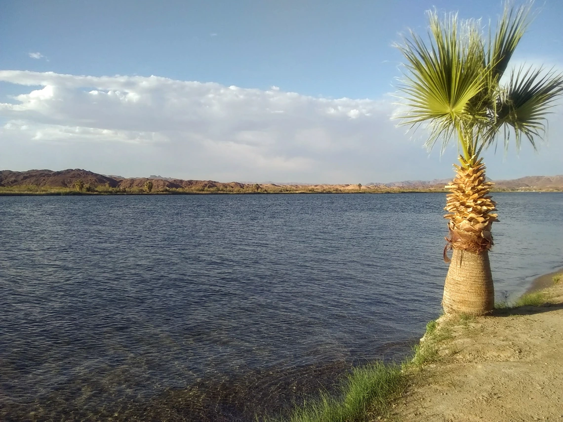 Joel Badzinski - Looking across the Colorado River toward California - Parker Arizona