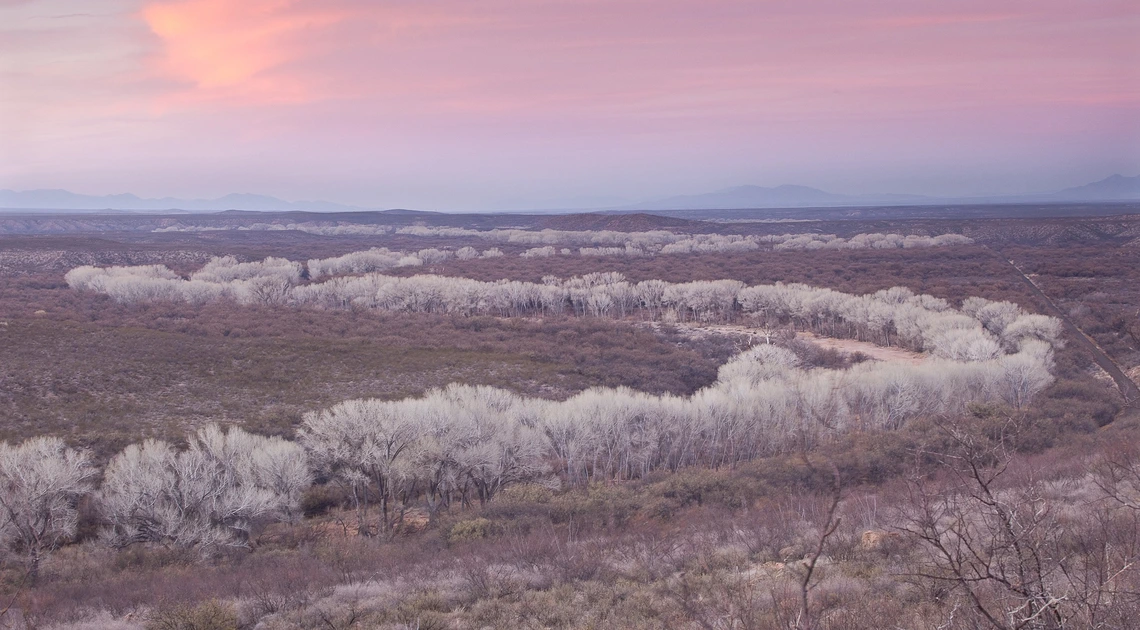 Photo of San Pedro Riparian National Conservation Area