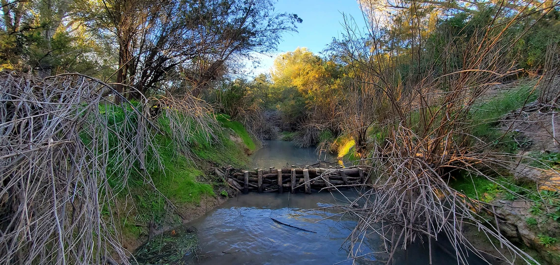 Matt Minjares; Beaver dam analog; San Pedro River, AZ; 2022