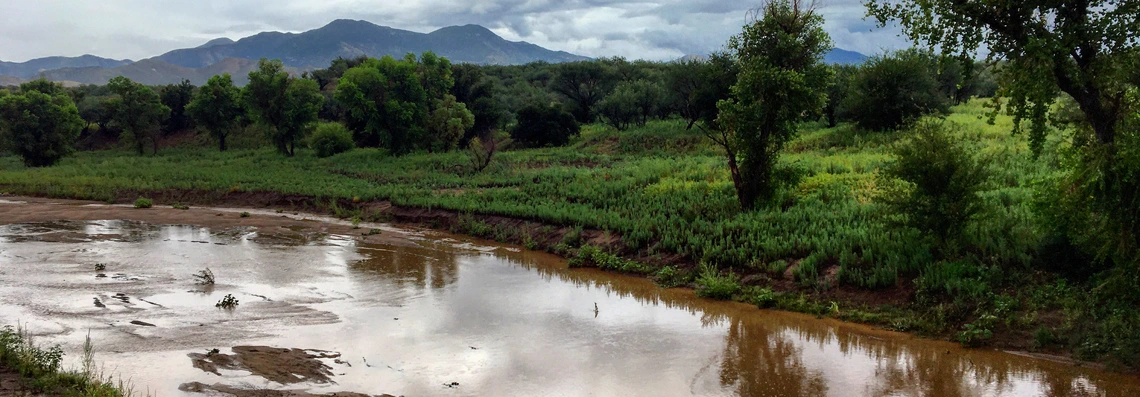 santa cruz river