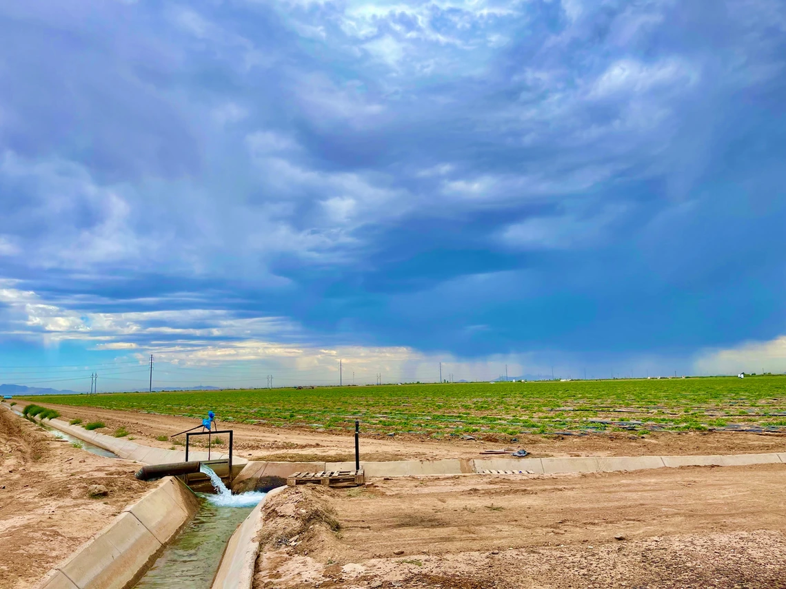 photo showing an agricultural canal in a field with crops growing in background. Cloudy sky and rain in the background as well