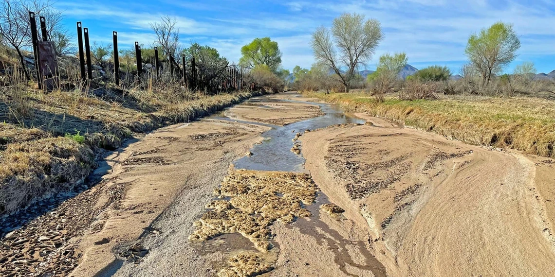 Santa Cruz river, Amado, AZ, 2023