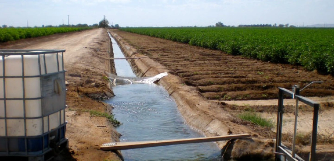 Irrigated agriculture Irrigated agriculture