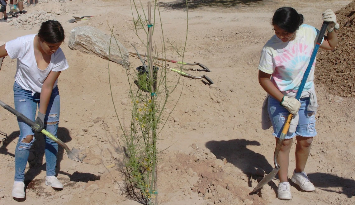 APW tree planting APW tree planting