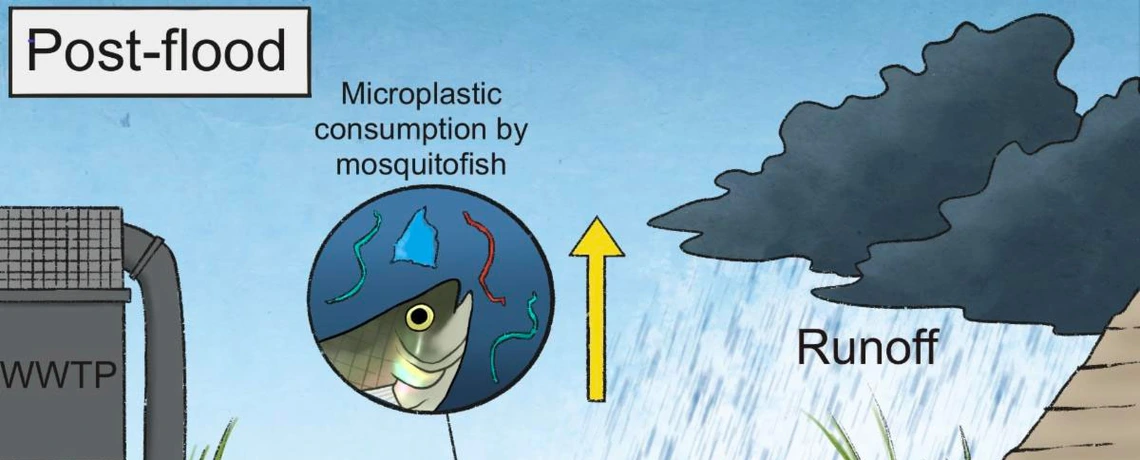 Flooding on Microplastic Pollution banner Flooding on Microplastic Pollution banner