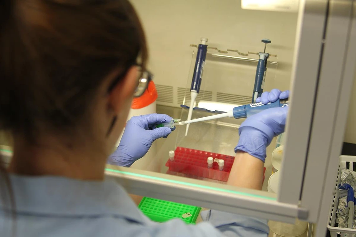 Image of lab worker Image of lab worker
