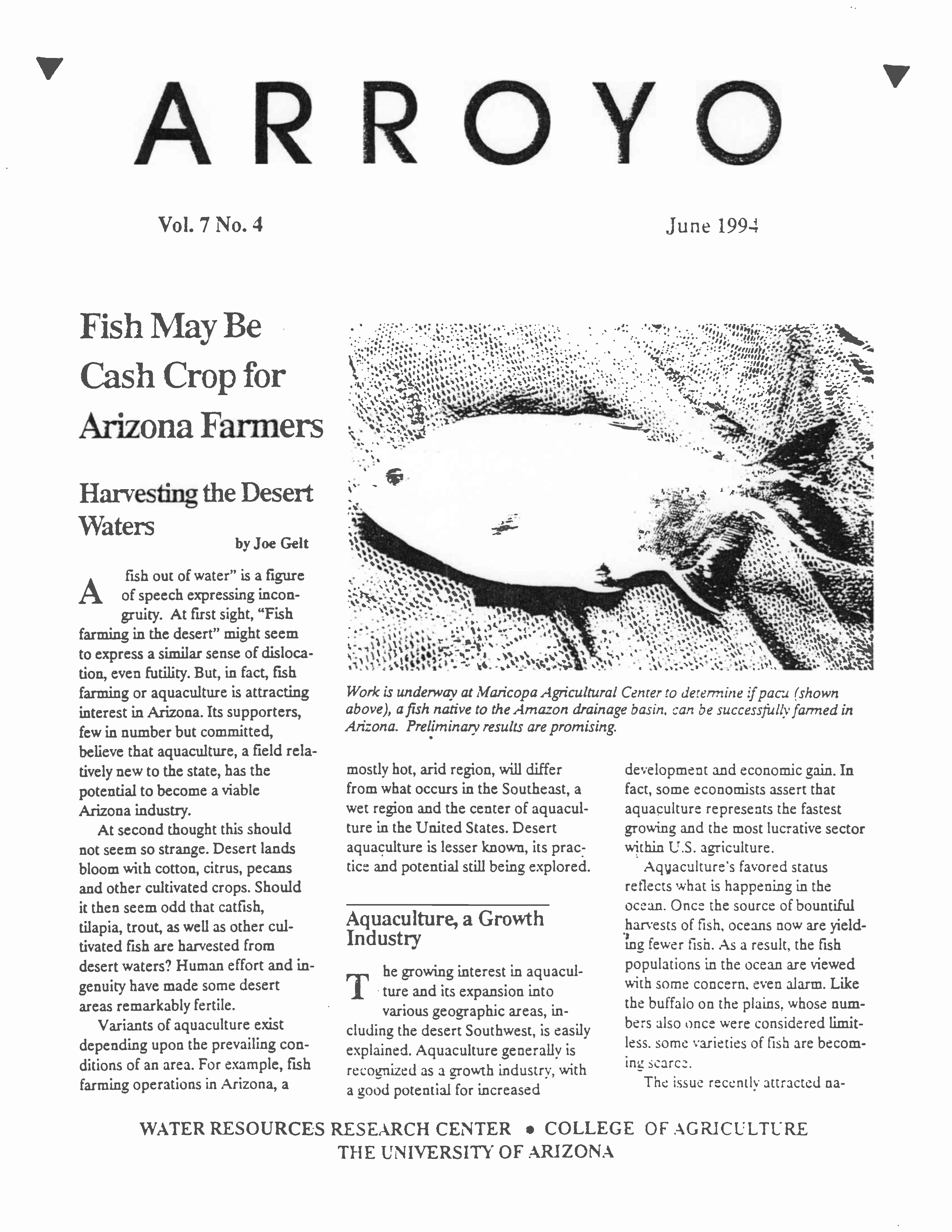 Arroyo Summer 1994