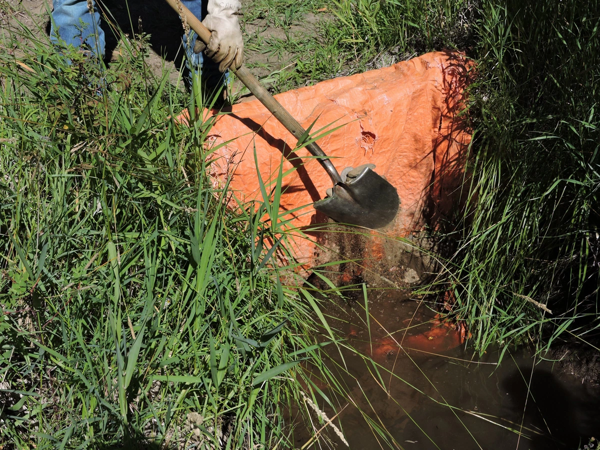 Photo of ditch sealed with plastic sheeting to keep the water in the river and out of the meadows