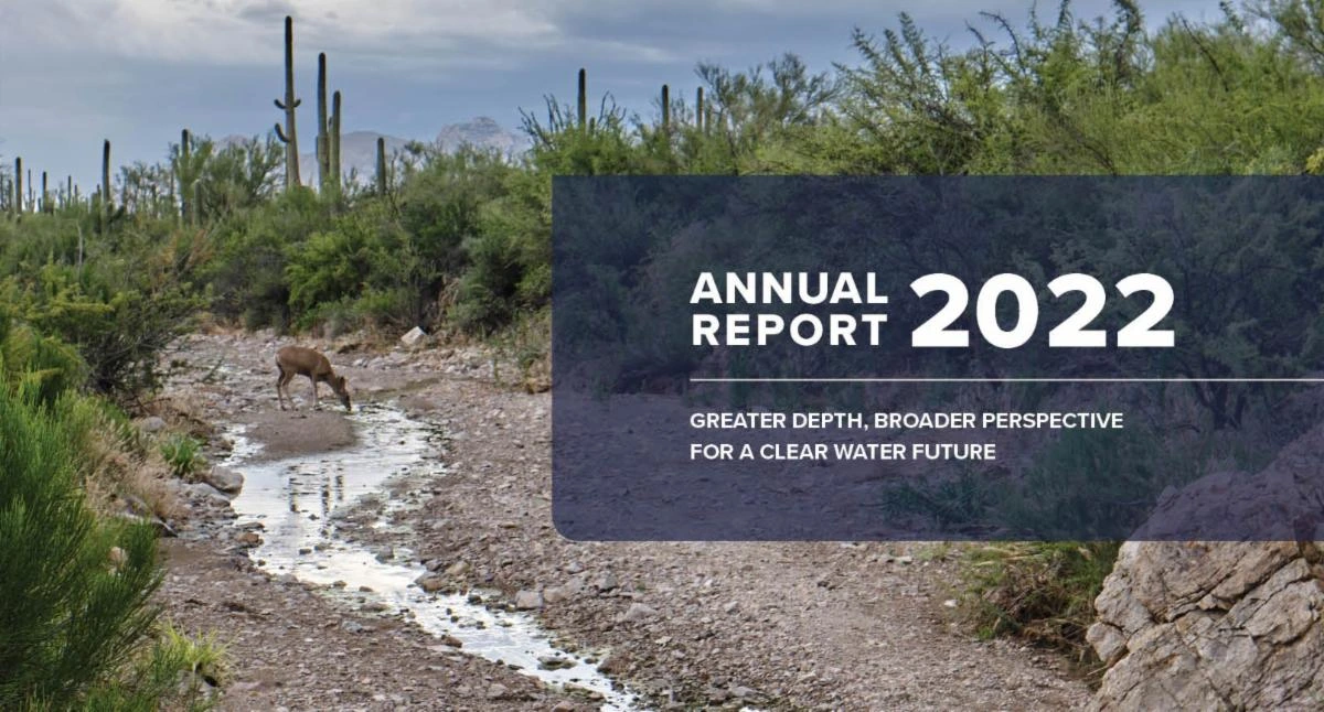 annual report graphic