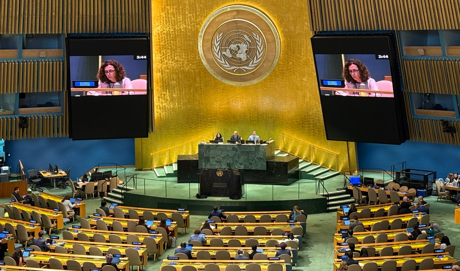 Ambassador Tanja Miškova speaking at the United Nations General Assembly meeting