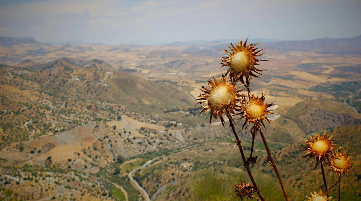 Valley view from Mountain Valley view from Mountain