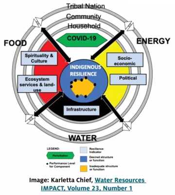 infographic