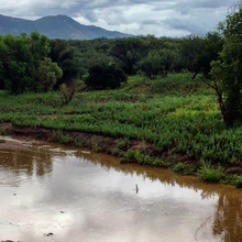 santa cruz river
