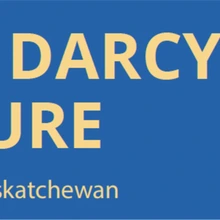 darcy banner