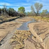 Santa Cruz river, Amado, AZ, 2023