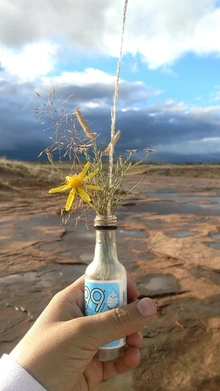 photo showing hand with bottle and flowers